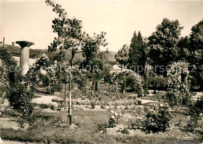 Saverne Bas Rhin Alsace La Roseraie