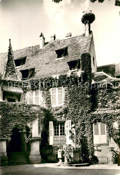 Selestat Bas Rhin Elsass Maison Lazare Weiler et Nid de Cigognes
