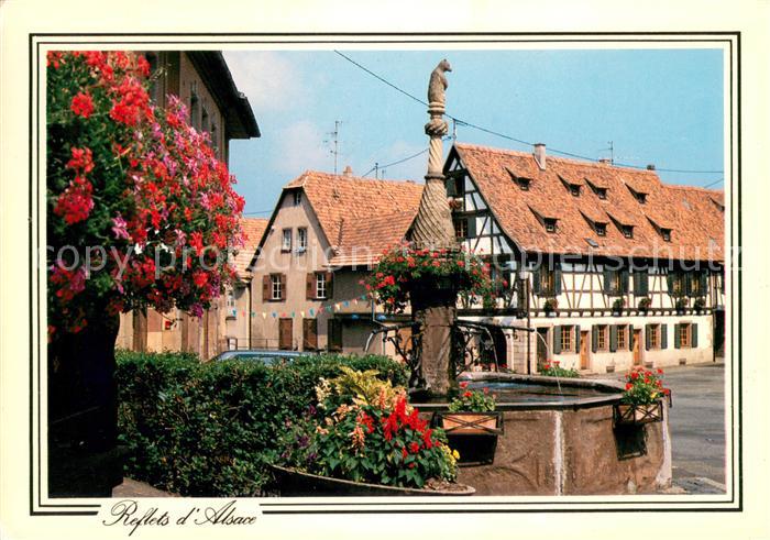 Dambach-la-Ville Brunnen blumengeschmueckt
