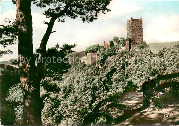 Ribeauville Haut Rhin Elsass Ruines St Ulrich