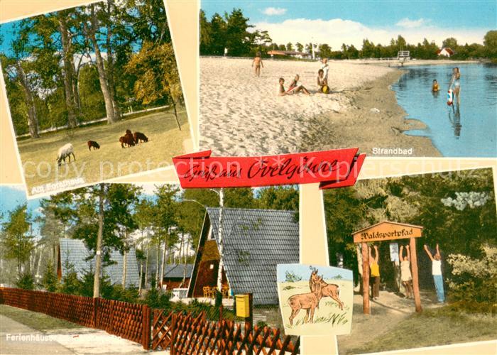 Ovelgoenne Pferdkoppel Strandbad Ferienhaeuser Waldsportpfad