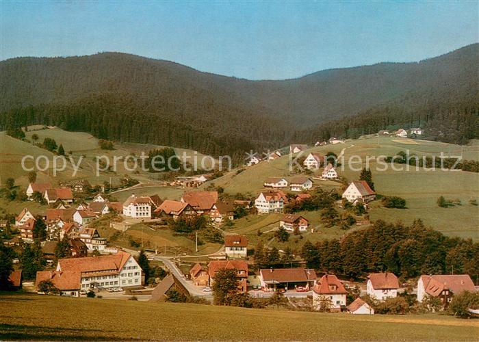 Schoenegruend im Murgtal Panorama