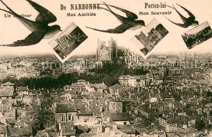 Narbonne Aude Stadtpanorama Briefschwalben