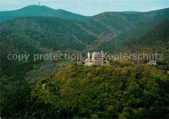 Hambach Neustadt Hambacher Schloss Fliegeraufnahme