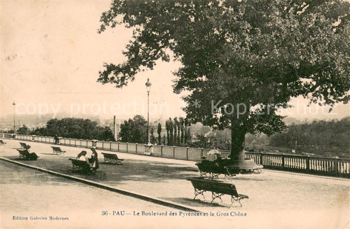Pau 64 Boulevard des Pyrenees le Gros Chene