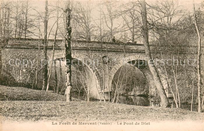 Mervent Foret Pont de Diet