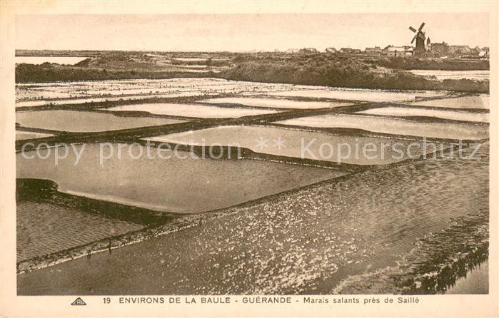 Saille Marais salants