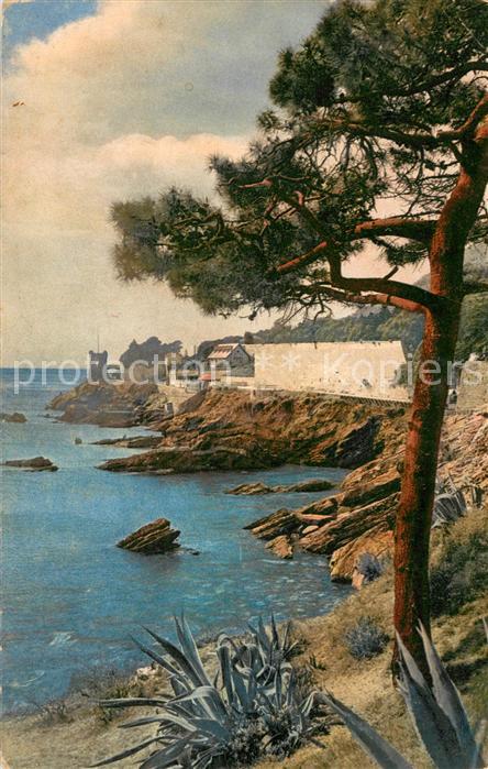 Nervi Riviera di Levante Photochromiekarte Serie 135 No. 2604