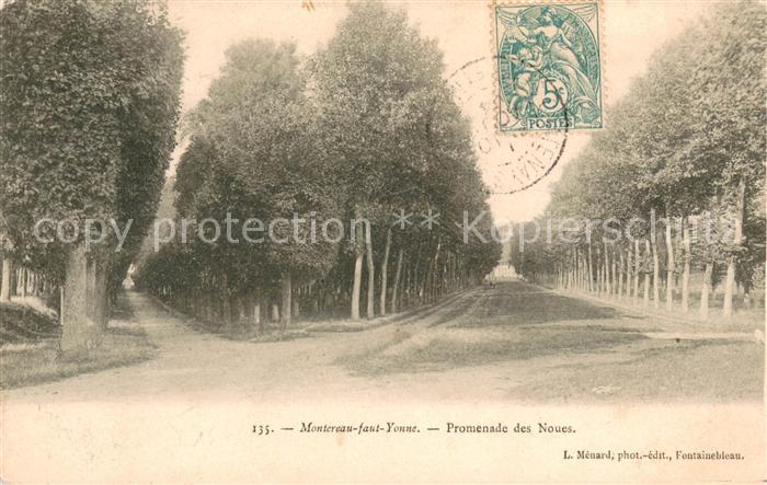 Montereau-Fault-Yonne Promenade des Noues