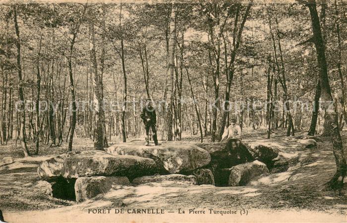 Foret de Carnelle Saint-Martin-du-Tertre La Pierre Turquoise Forêt Nature