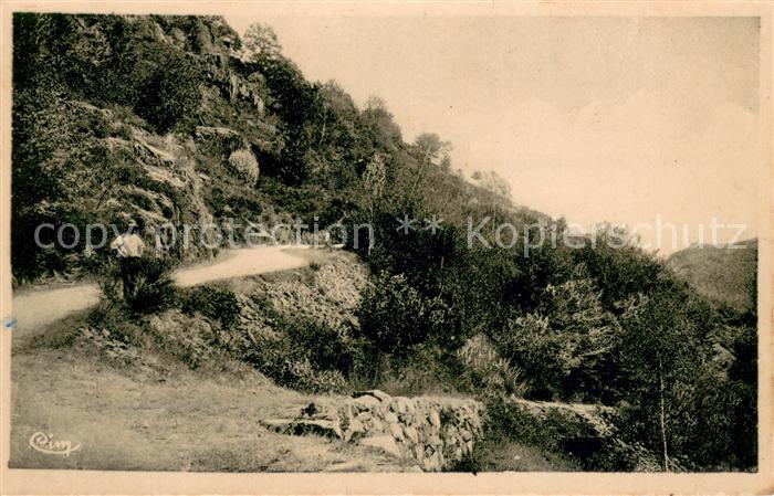 Les Noes (42 Loire) Vallee du Ruisseau des Crèches