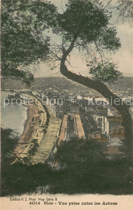 Nice Alpes Maritimes Vue prise entre les Arbree