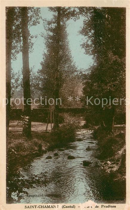 Saint-Chamant Cantal Tours de Pradines