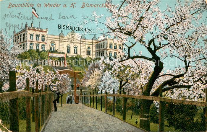 Werder Havel Bismarckhoehe Baumbluete