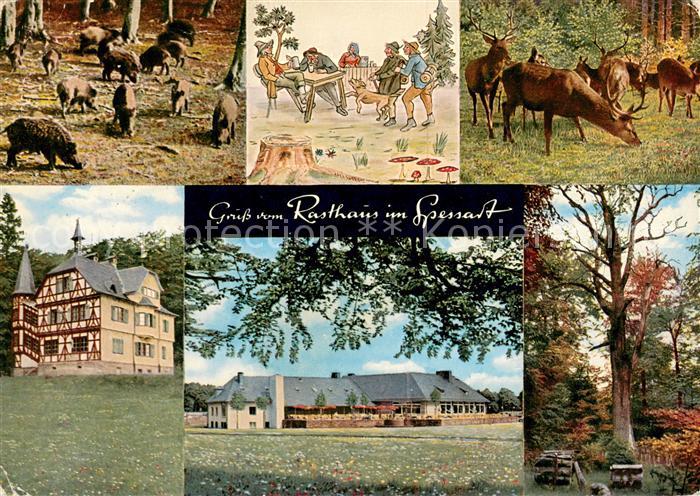 Rohrbrunn Autobahn Rasthaus im Spessart Wildgehege