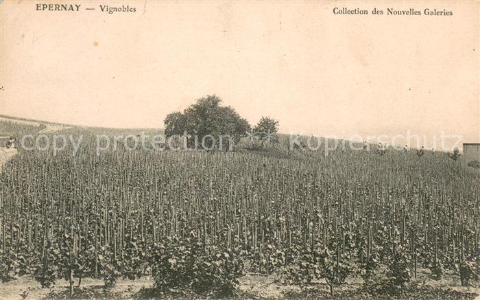 Epernay 51 Vignobles