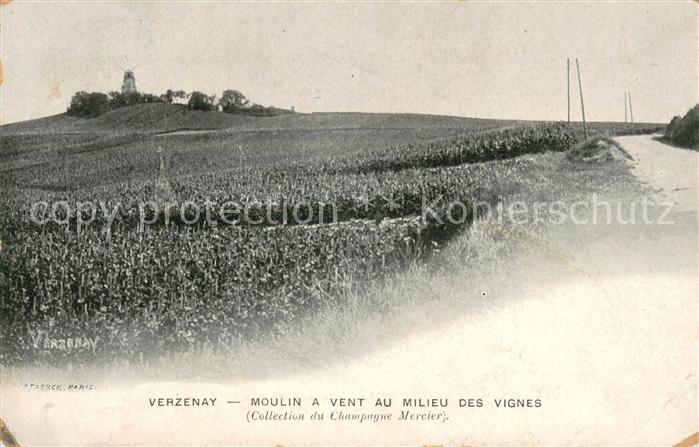 Verzenay Moulin a vent au milieu des vignes Cham
