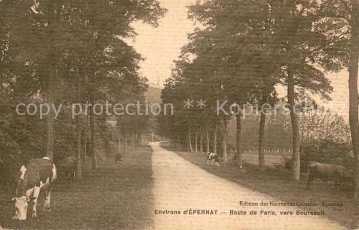 Epernay 51 Route de Paris vers Boursault