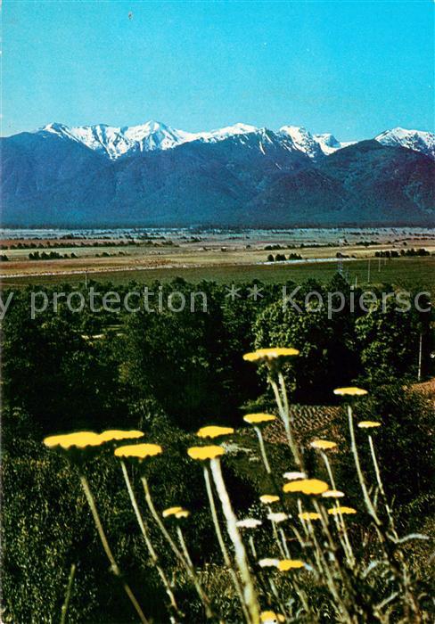 Pirin Panorama