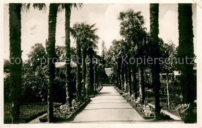 Bergerac Allée des palmiers
