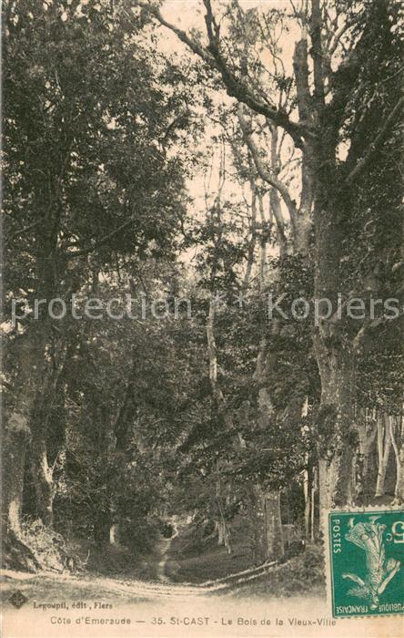 Saint-Cast-le-Guildo Le Bois de la Vieux Ville Côte d Emeraude