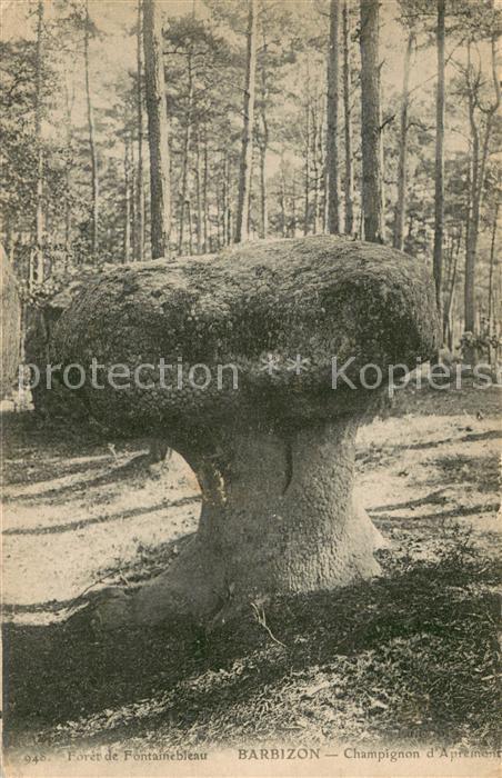 Barbizon Forêt de Fontainebleau Champignon d Apremont Nature