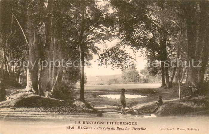 Saint-Cast-le-Guildo Un coin du Bois La Vieuville