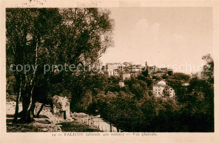 Falicon Vue generale