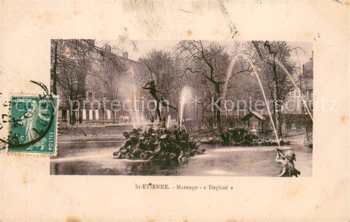 Saint-Etienne 42 Loire Marengo Daphne