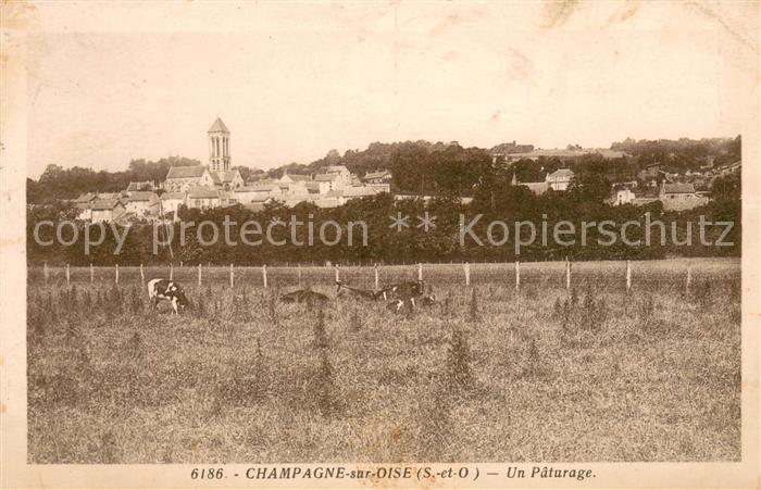 Champagne-sur-Oise Un Paturage
