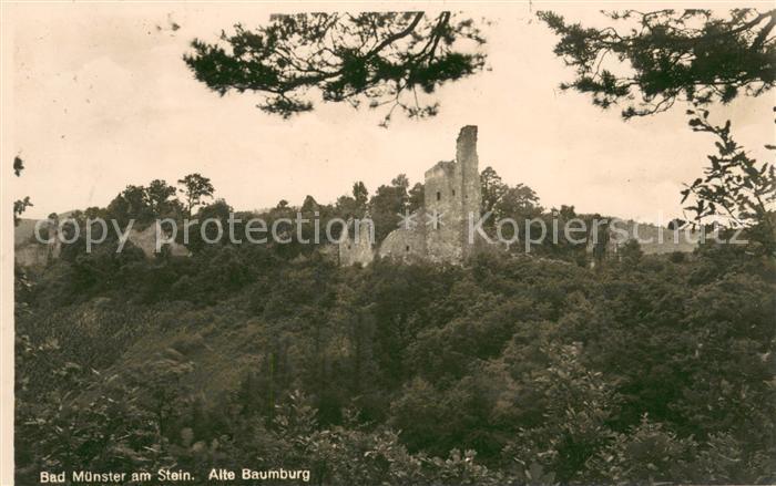 Bad Muenster Stein Ebernburg Alte Baumburg