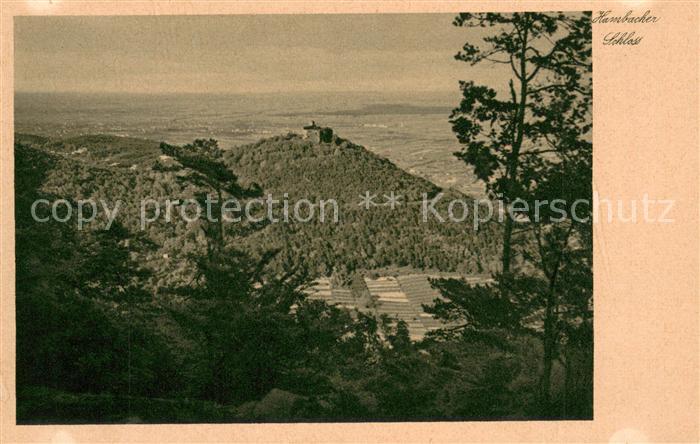 Hambach Neustadt Hambacher Schloss Panorama