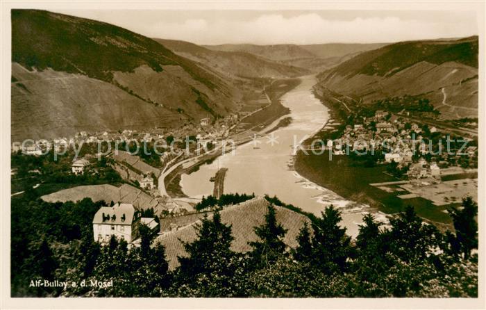 Alf Bullay Mosel Panorama