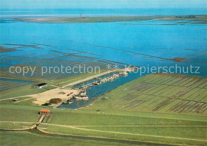 Eiderstedt Fischerei und Jachthafen Tuemlauer Koog Fliegeraufnahme