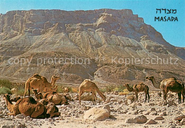 Masada Ruins of a fortress at the Dead Sea