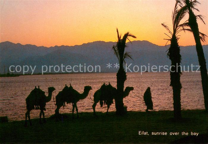 Eilat Eilath Israel Sunrise over the bay