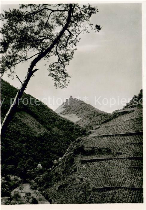 Cochem Mosel Die Winneburg im Endertal