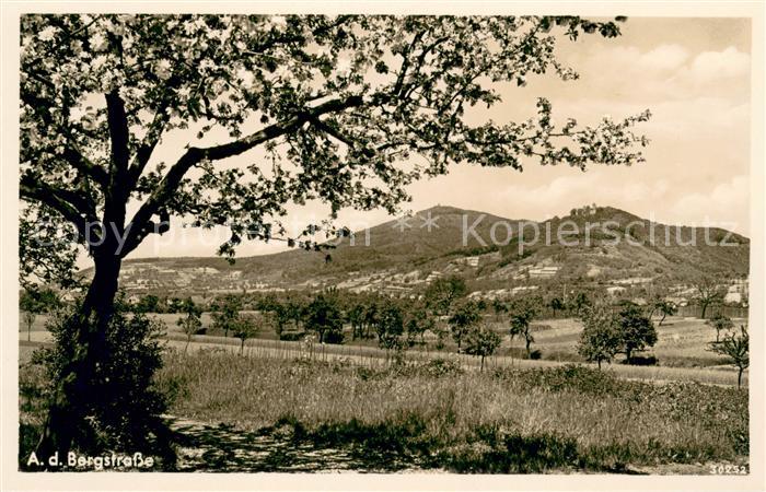 Auerbach Bergstrasse Landschaftspanorama Blick gegen Auerbacher Schloss und Meli
