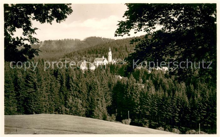 Bayerisch Eisenstein Luftkurort Ansicht vom Wandrand