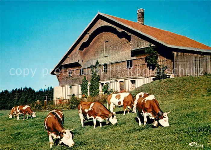 Chauffaud Vieille ferme Franc Comtoise des vaches