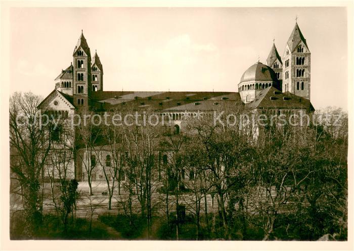 Speyer Rhein Dom Suedseite