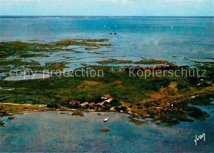 Arcachon Gironde Ile aux Oiseaux au milieu du Bassin Vue aerienne