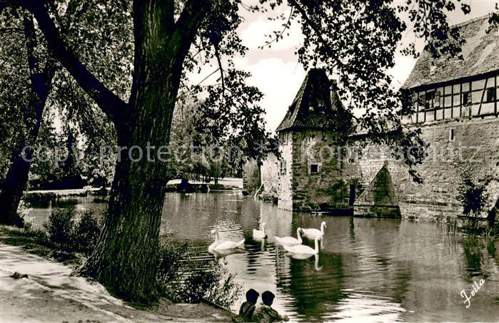 Weissenburg Bayern Stadtmauer am Seeweiher