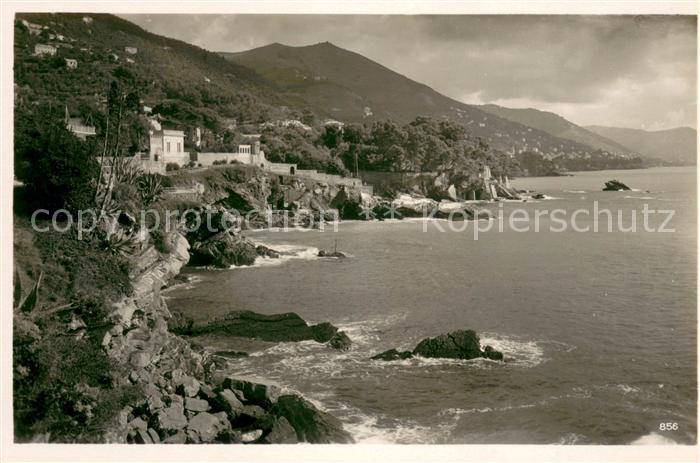 Nervi