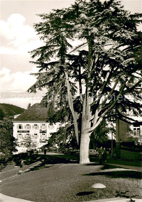 Badenweiler Parkhotel und Zeder