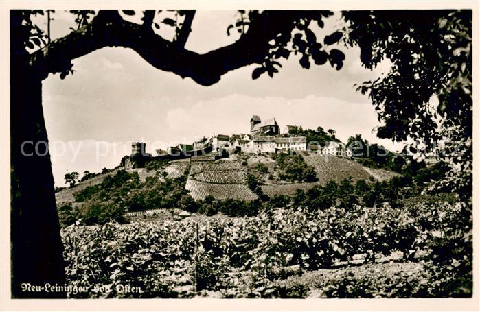 Neuleiningen Panorama