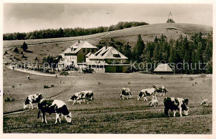 Waldkirch Breisgau Berghotel Kandel