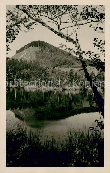 Altglashuetten Windgfaellweiher