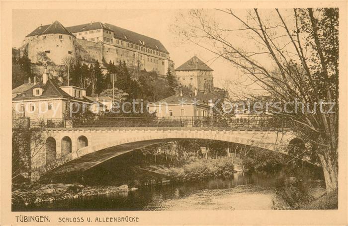 Tuebingen Schloss und Alleenbruecke