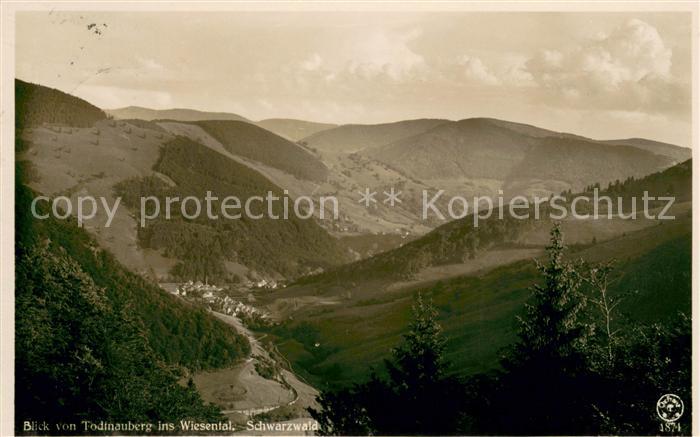 Todtnauberg Blick ins Wiesental